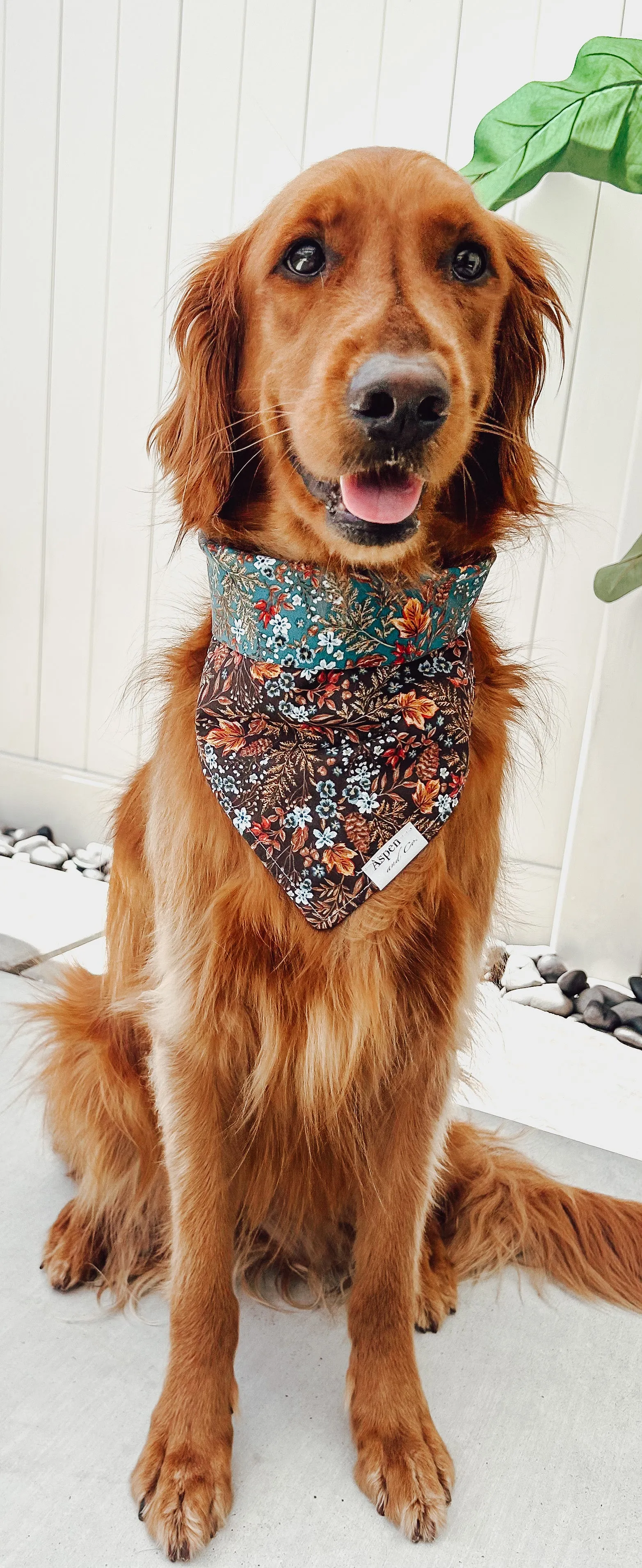 Autumn - Reversible Dog Bandana