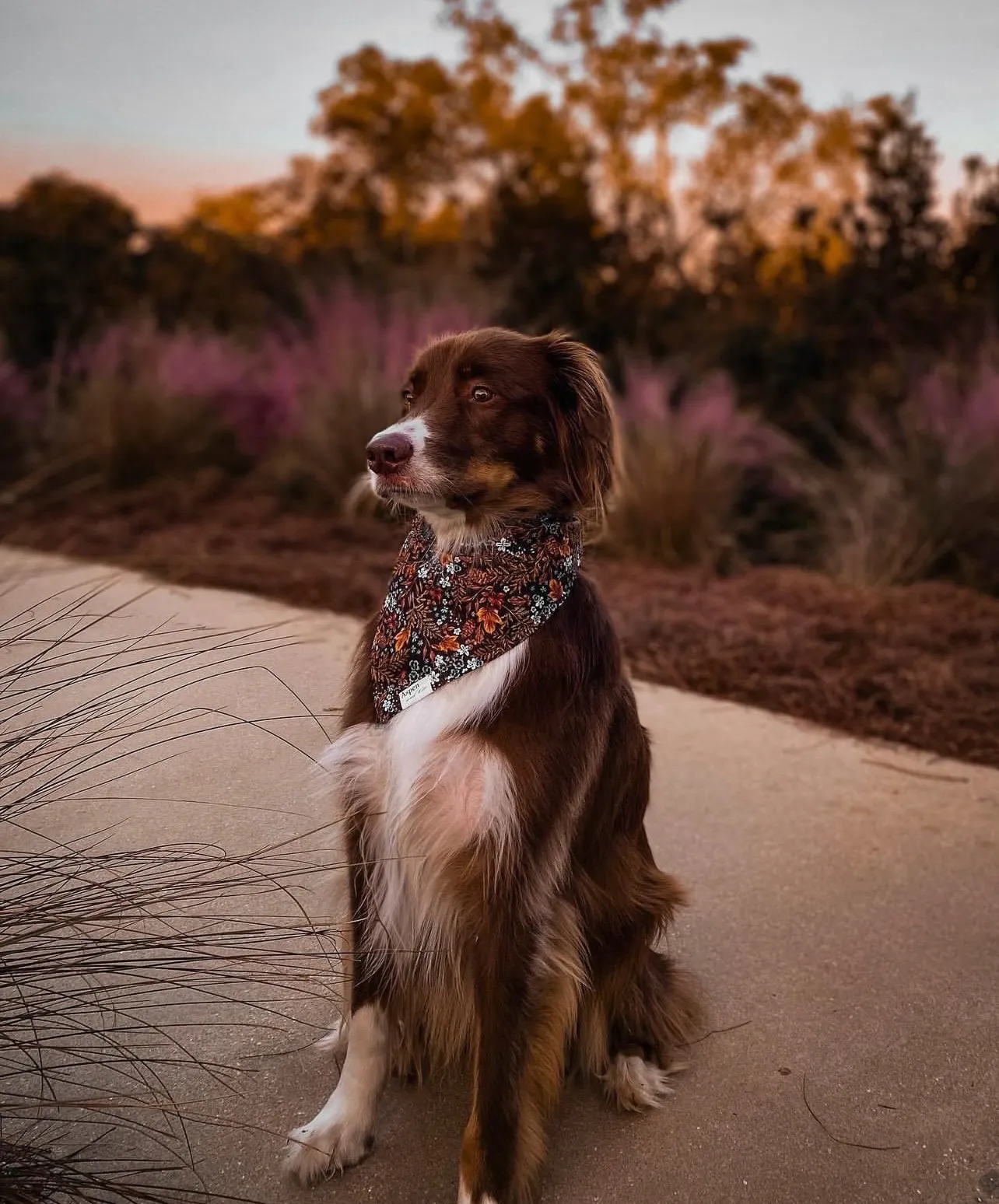 Autumn - Reversible Dog Bandana
