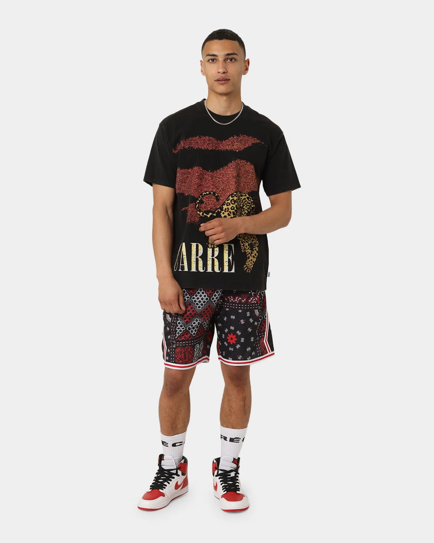 Carré Leo Vintage T-Shirt Washed Black