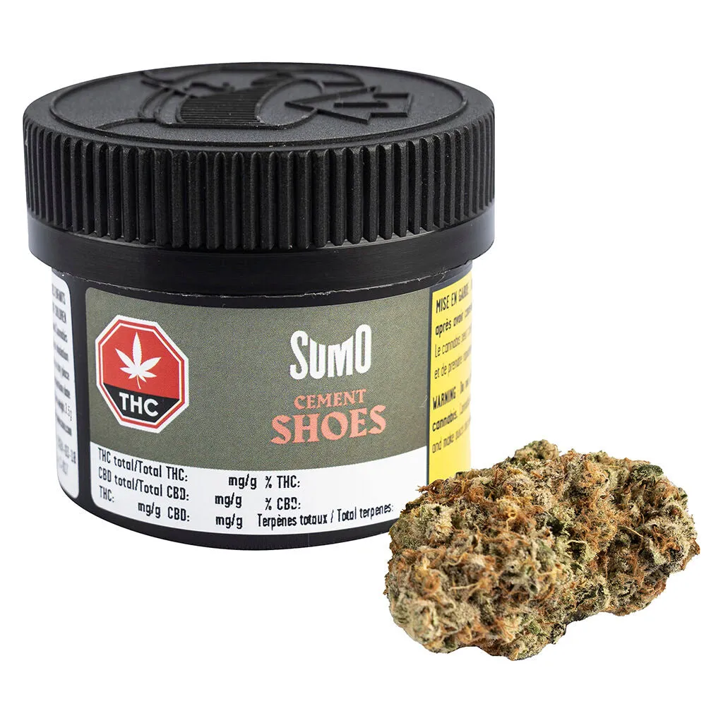 Cement Shoes