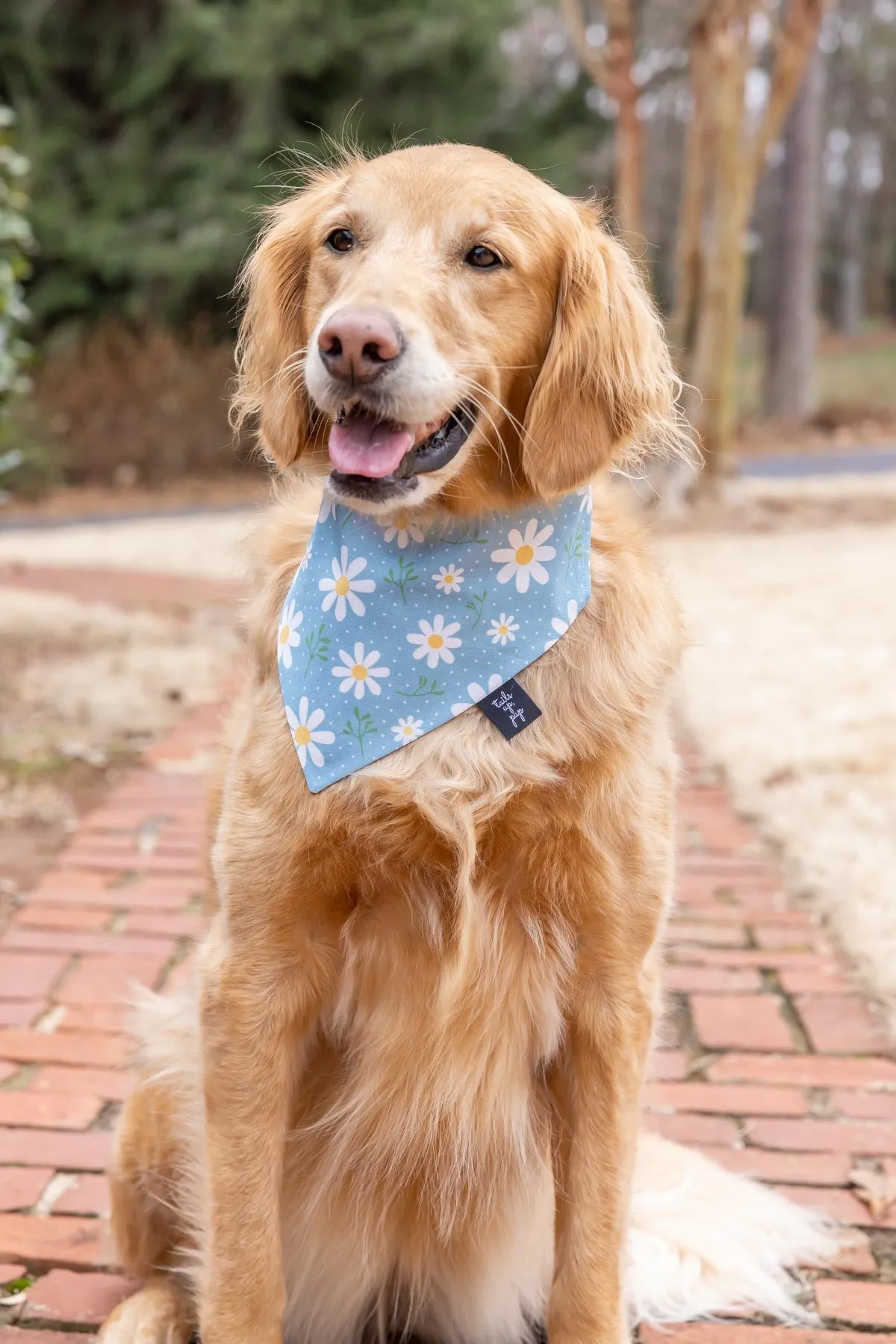 The Embroidered Bandana