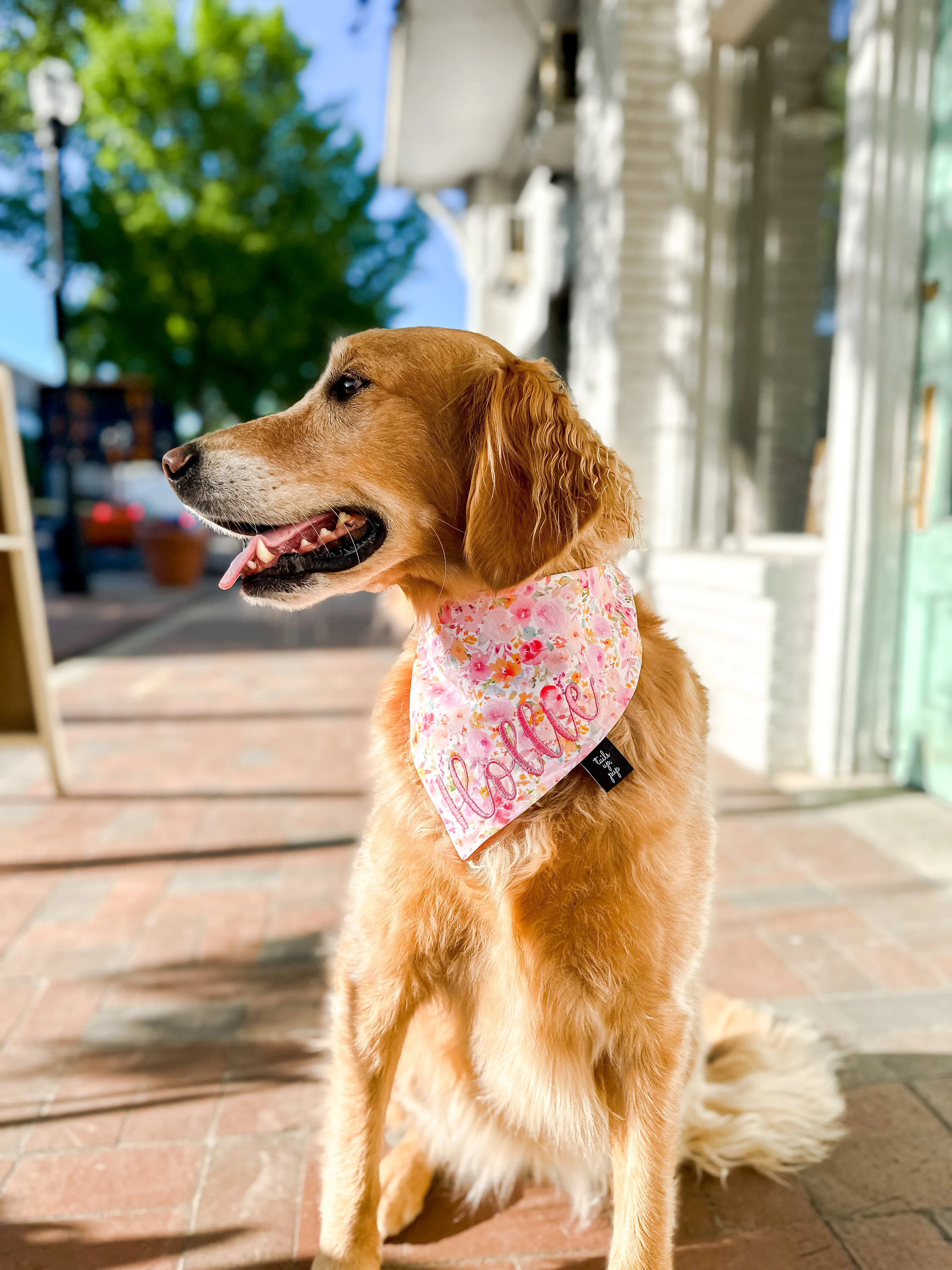 The Embroidered Bandana