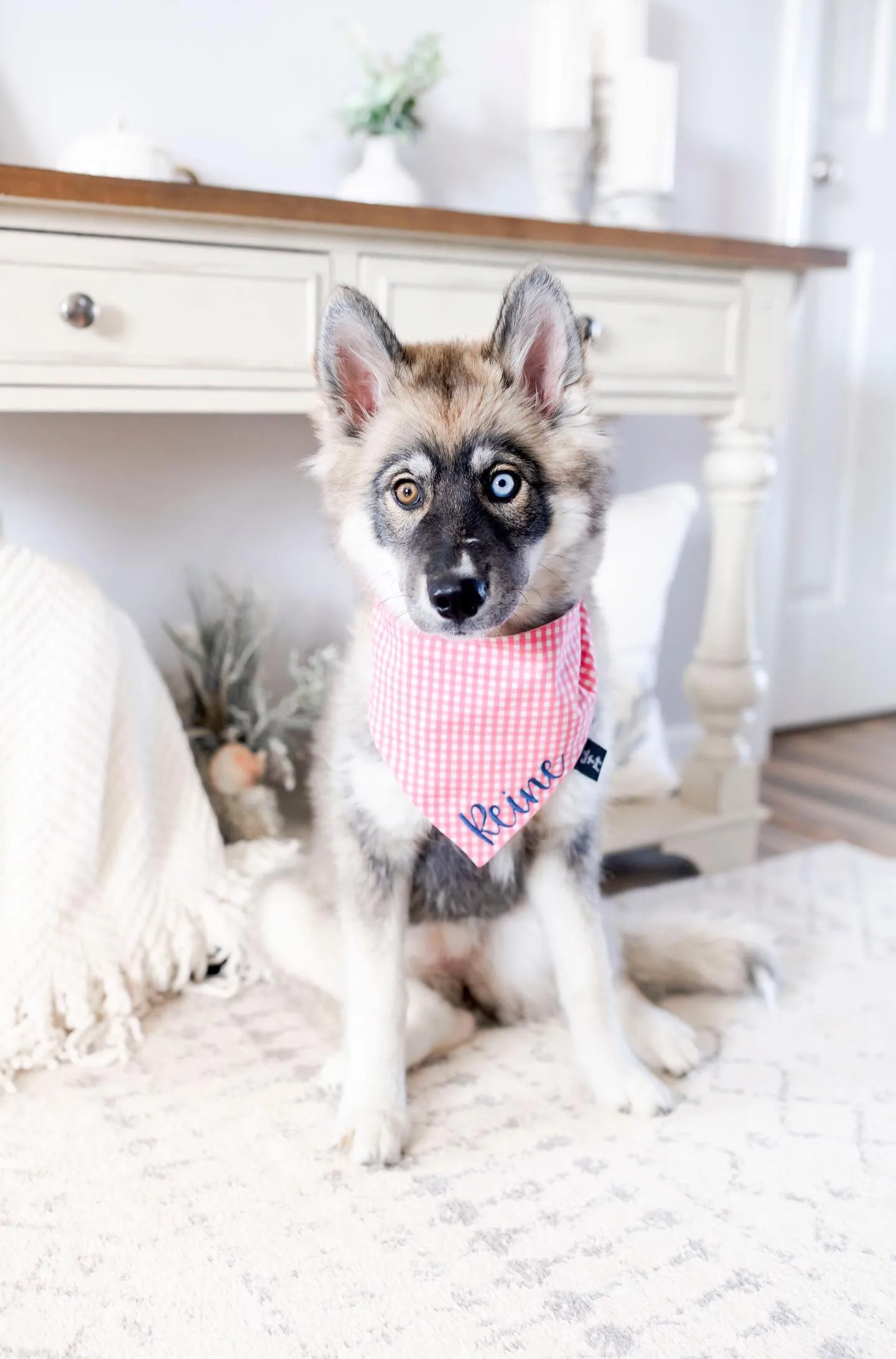 The Embroidered Bandana