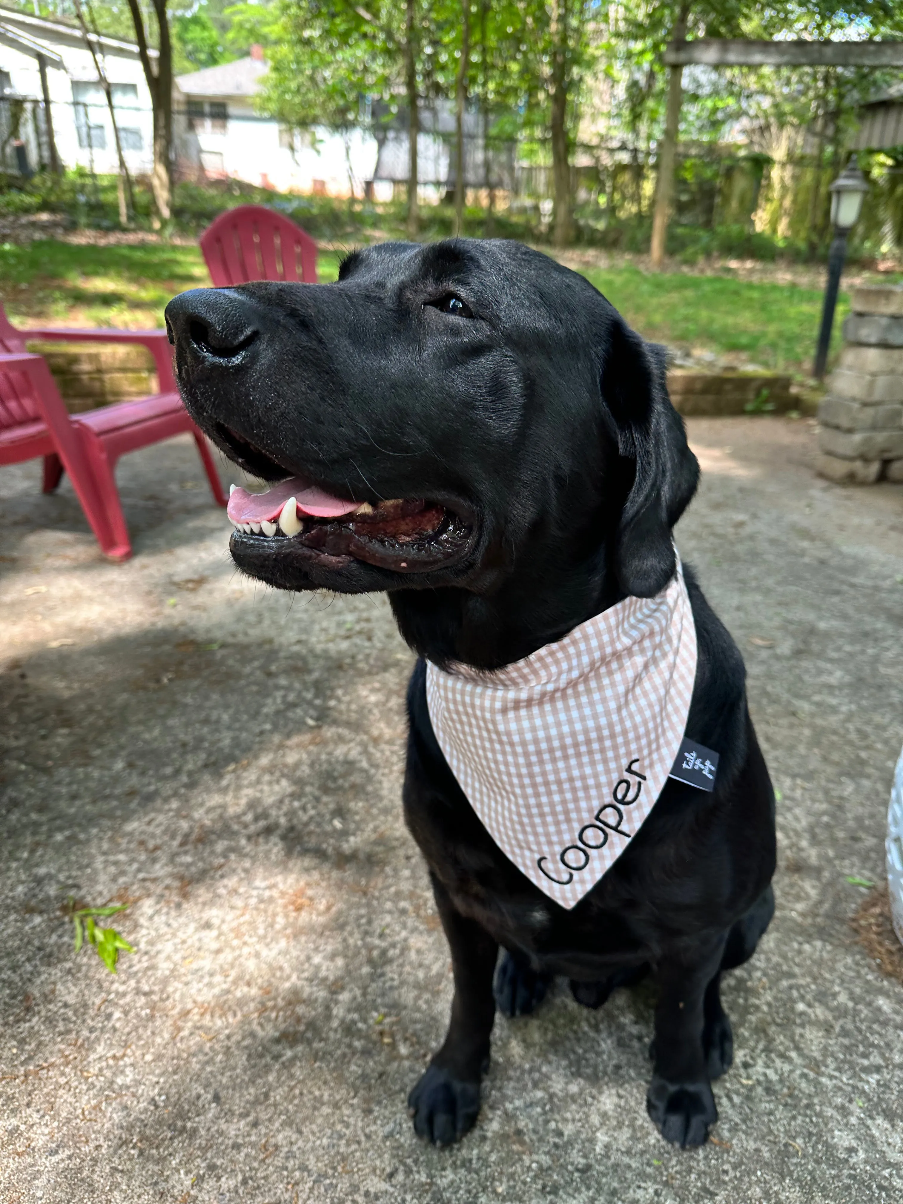 The Embroidered Bandana